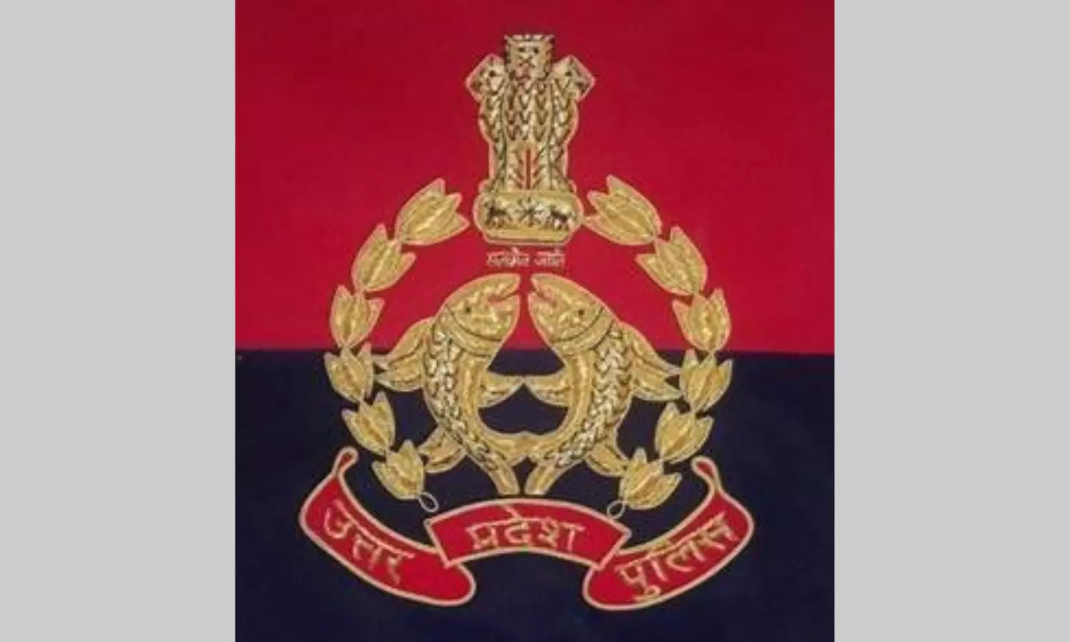 Criminal carrying Rs 1 lakh reward killed in encounter in UP Criminal carrying Rs 1 lakh reward killed in encounter in UP