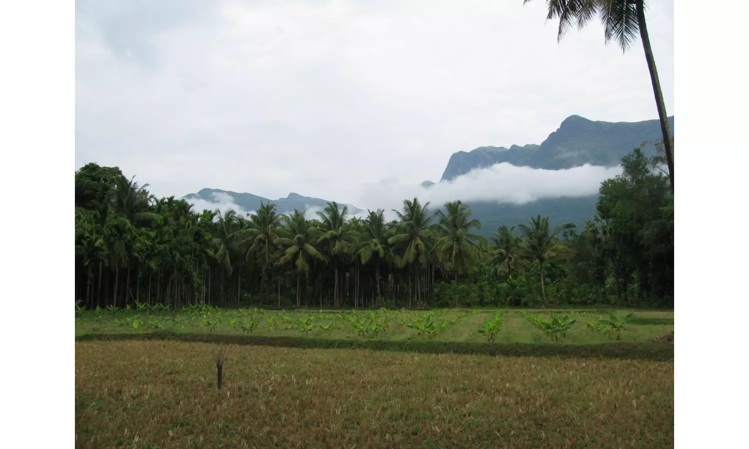 Strict measures sought on trekking in Western Ghats