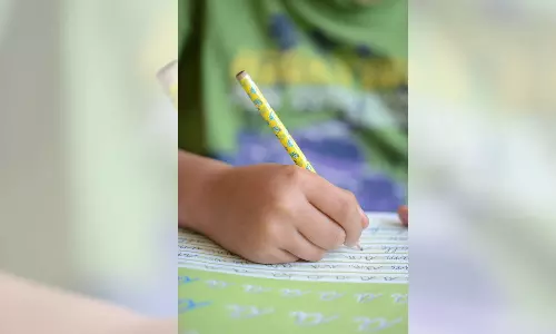 Video of mother doing childs project sparks debate