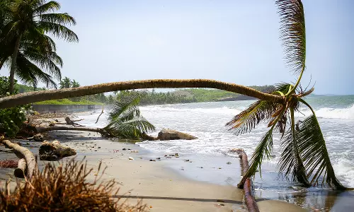 Hurricane Beryl roars toward Jamaica after killing at least 6 people in the southeast Caribbean Hurricane Beryl roars toward Jamaica after killing at least 6 people in the southeast Caribbean