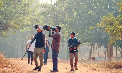 Birdwatching, a sanctuary of health benefits Birdwatching, a sanctuary of health benefits