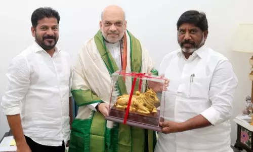 Telangana CM requests Amit Shah to allocate funds, additional resources for security departments