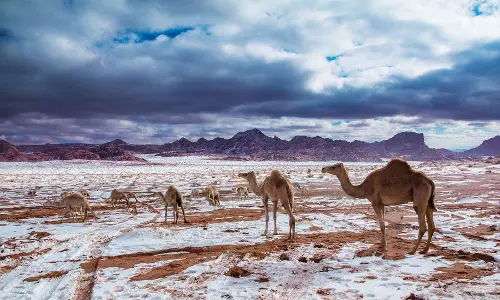 Saudi Arabia Woos Indian Tourists with Simplified Visa Options