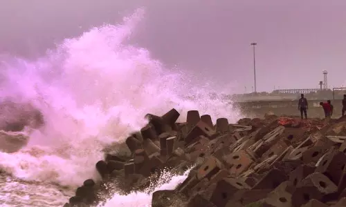 Expedite Machilipatnam Port Construction Works, says Krishna District Collector