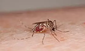 Tension After Girls Death Due to Dengue in Private Hospital