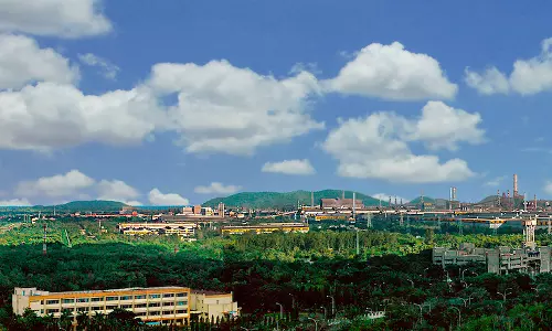 RINL takes up unique tree plantation programme