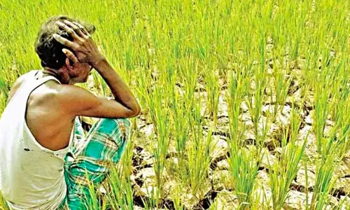 YSRC questions delay in women’s’ schemes