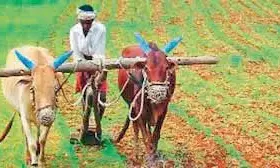 Telangana: Cabinet panel to take Rythu Bharosa feedback on July 11