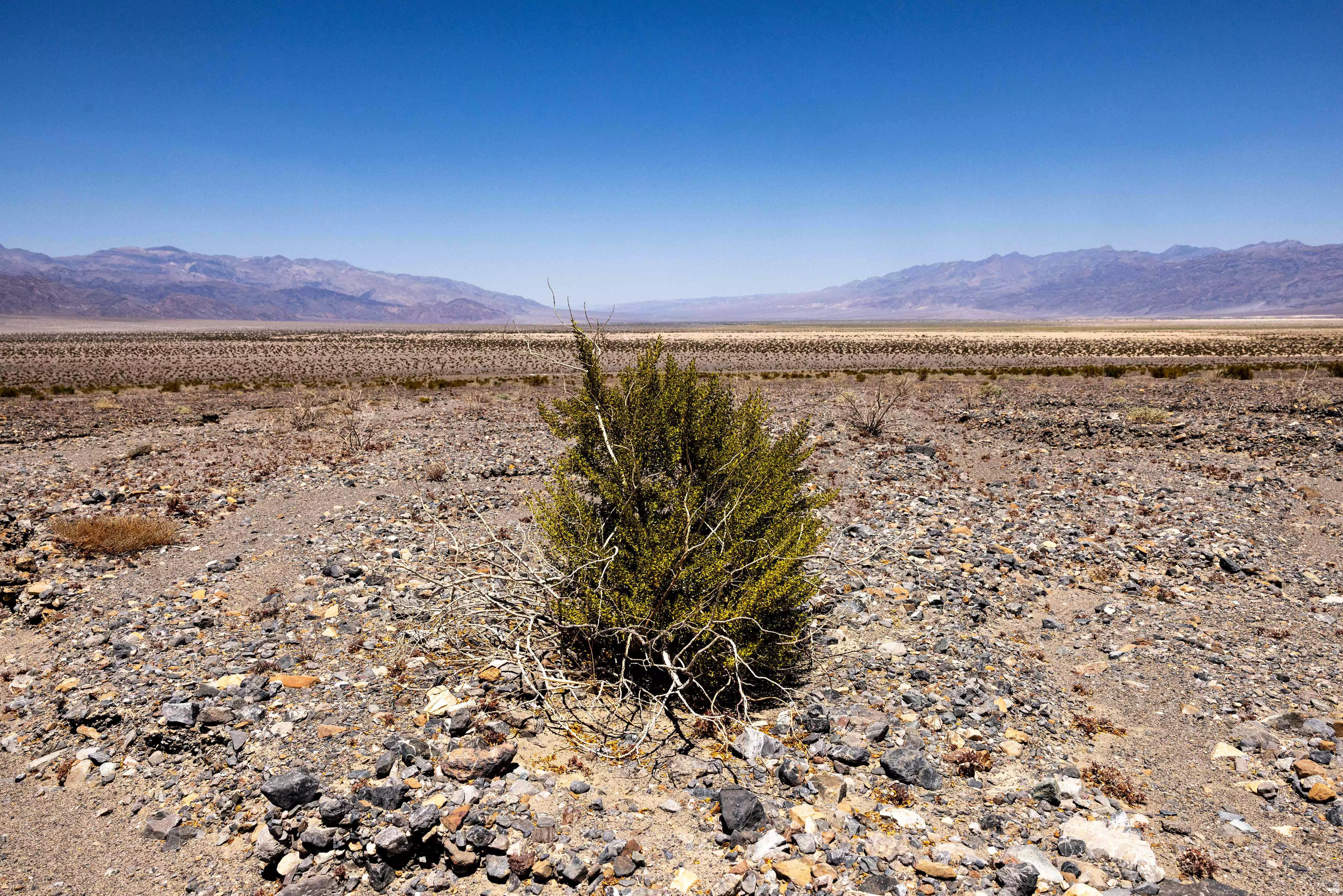 June Breaks Heat Record; Every Month Since July 2023 Exceeds 1.5°C Threshold June Breaks Heat Record; Every Month Since July 2023 Exceeds 1.5°C Threshold