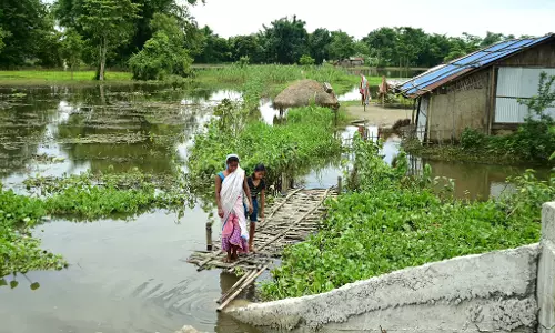 Assam Flood: 131 wild animals dead, 97 rescued in Kaziranga National Park