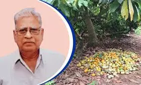 From Air Force to Cocoa Fields: A Veterans Journey to Agricultural Success