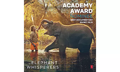 The Independent Cinema Struggle