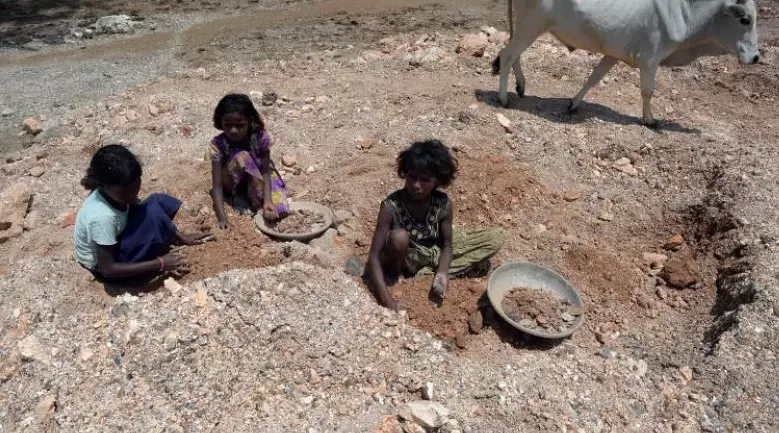 Andhra Pradesh Rights panel to ensure ban on child labour Andhra Pradesh Rights panel to ensure ban on child labour