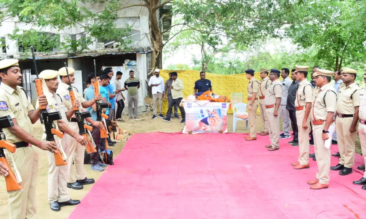 Sircilla police pay tribute to sniffer dog Tango Sircilla police pay tribute to sniffer dog Tango
