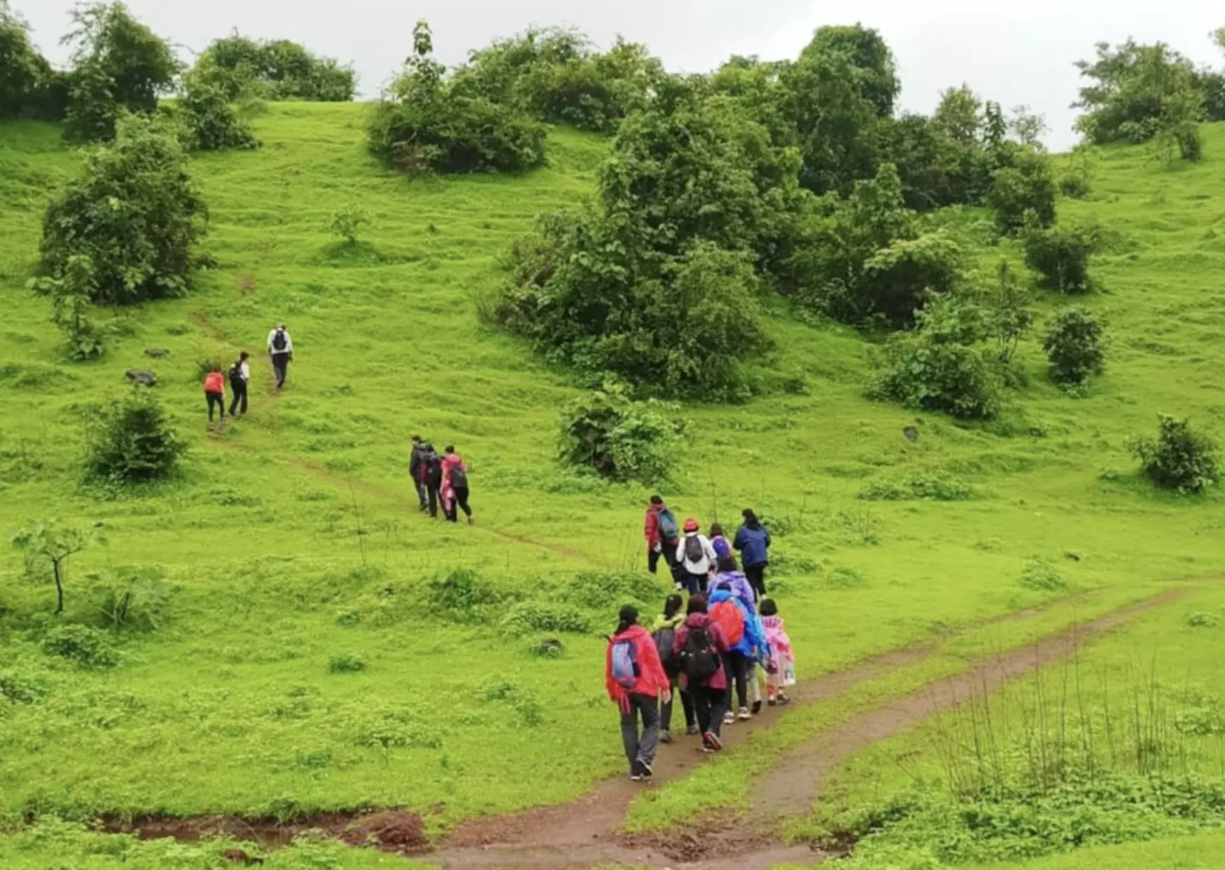 Eight Mesmerising Monsoon Getaways Near Telangana Where City Folk Can Unwind