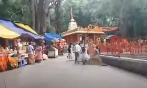 Woman Injured as tree branch falls on her in Tirumala