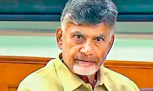 Andhra Pradesh: Welfare possible only if wealth is created, says CM Naidu