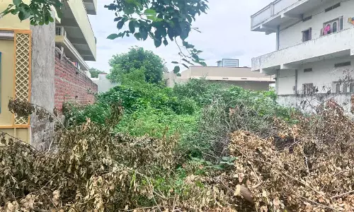 Telangana: Open plots turn dumping yards in Bhongir
