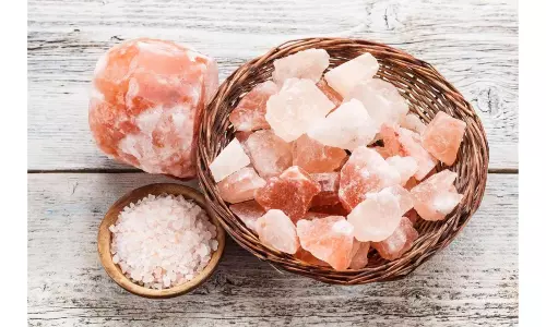Himalayan pink salt from Punjab adding flavour to Visakhapatnam’s food platter