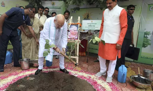 MP: Shah launches record breaking sapling plantation drive in Indore, says PM committed to protecting environment