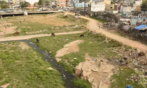 GHMC Seeks Central Support for Musi Development