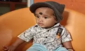 Garbage, climate play key role in dog bite cases