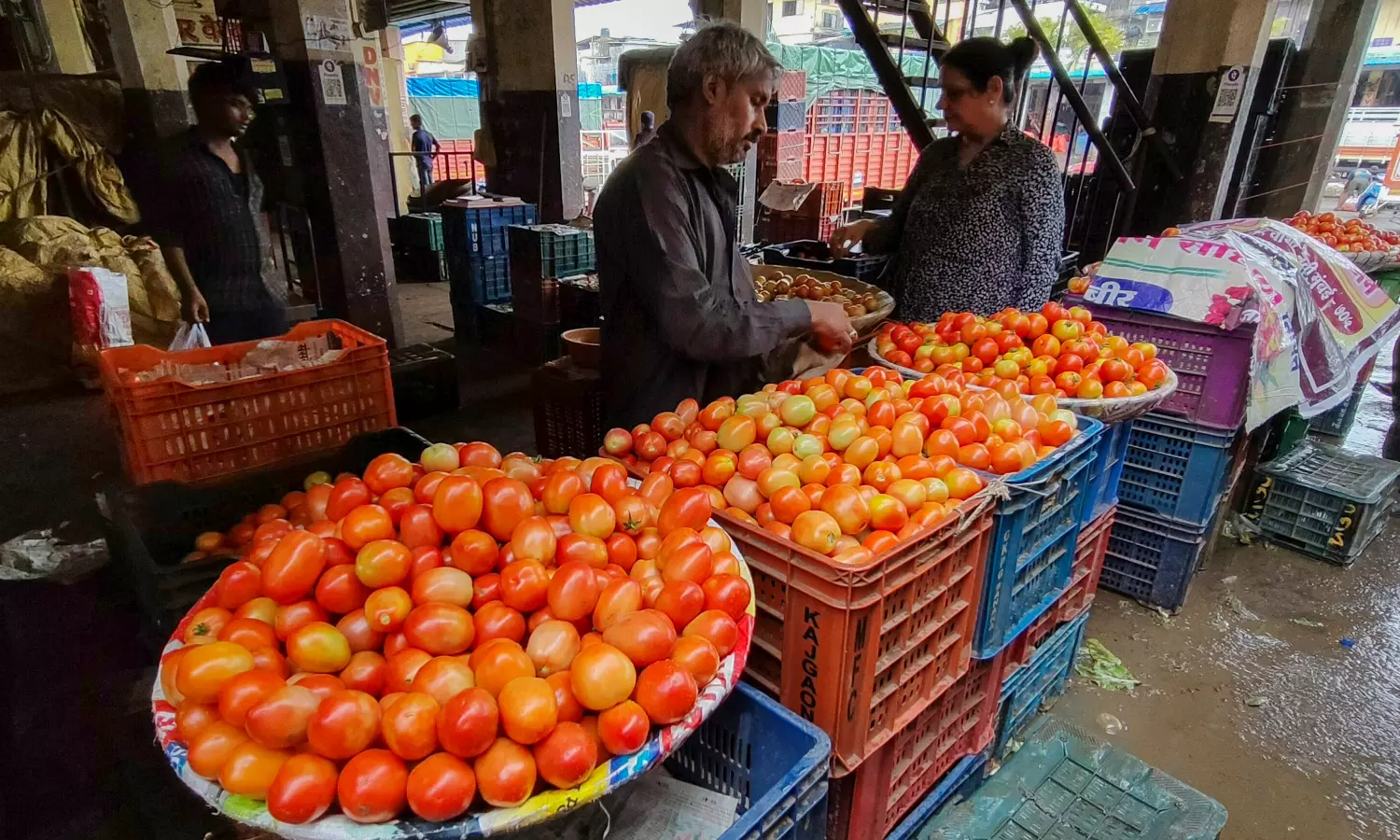 Palamaner Tomato Farmers Face Losses Due to Trader Malpractices Palamaner Tomato Farmers Face Losses Due to Trader Malpractices