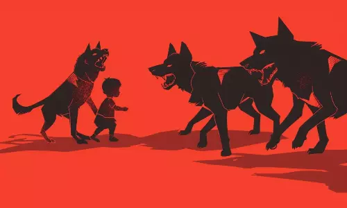 Toddler Mauled To Death By Stray Dogs In Jawahar Nagar Toddler Mauled To Death By Stray Dogs In Jawahar Nagar