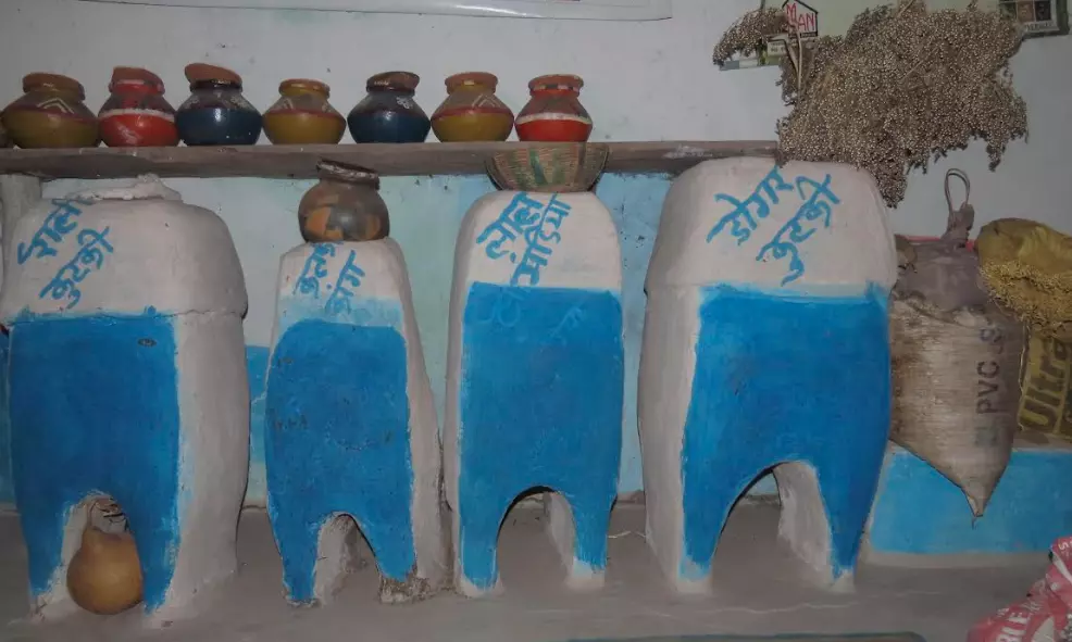 MP: Primitive tribe Baigas, the guardian of millet crops