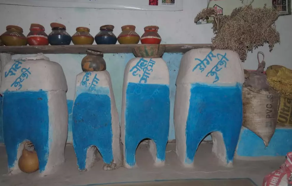 MP: Primitive tribe Baigas, the guardian of millet crops