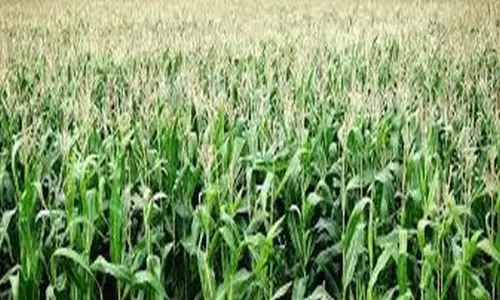 Crop loan waiver for up to ₹2 lakh completed, no plans for further extension: State govt in Assembly