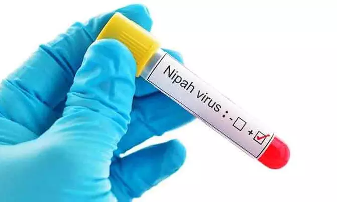 Nipah: 8 Suspected Cases Test Negative, Patient Condition Remains critical Nipah: 8 Suspected Cases Test Negative, Patient Condition Remains critical