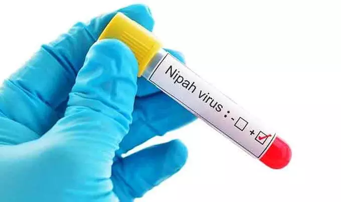 Nipah Outbreak: Tamil Nadu instructs Officials to Hold Surveillance in Districts Bordering Kerala Nipah Outbreak: Tamil Nadu instructs Officials to Hold Surveillance in Districts Bordering Kerala