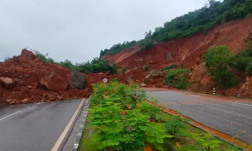 NECF Writes to Gadkari,  Blames Unscientific Road Works for Landslides