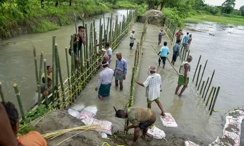 Assam floods: 1.30 lakh people affected, State urges central team for NDRF funds