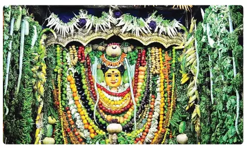 Kurnool: Sakambari festival held at Srisailam temple Kurnool: Sakambari festival held at Srisailam temple
