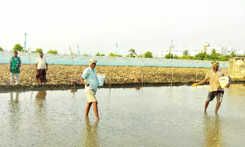 Water Aplenty in AP Except Rayalaseema