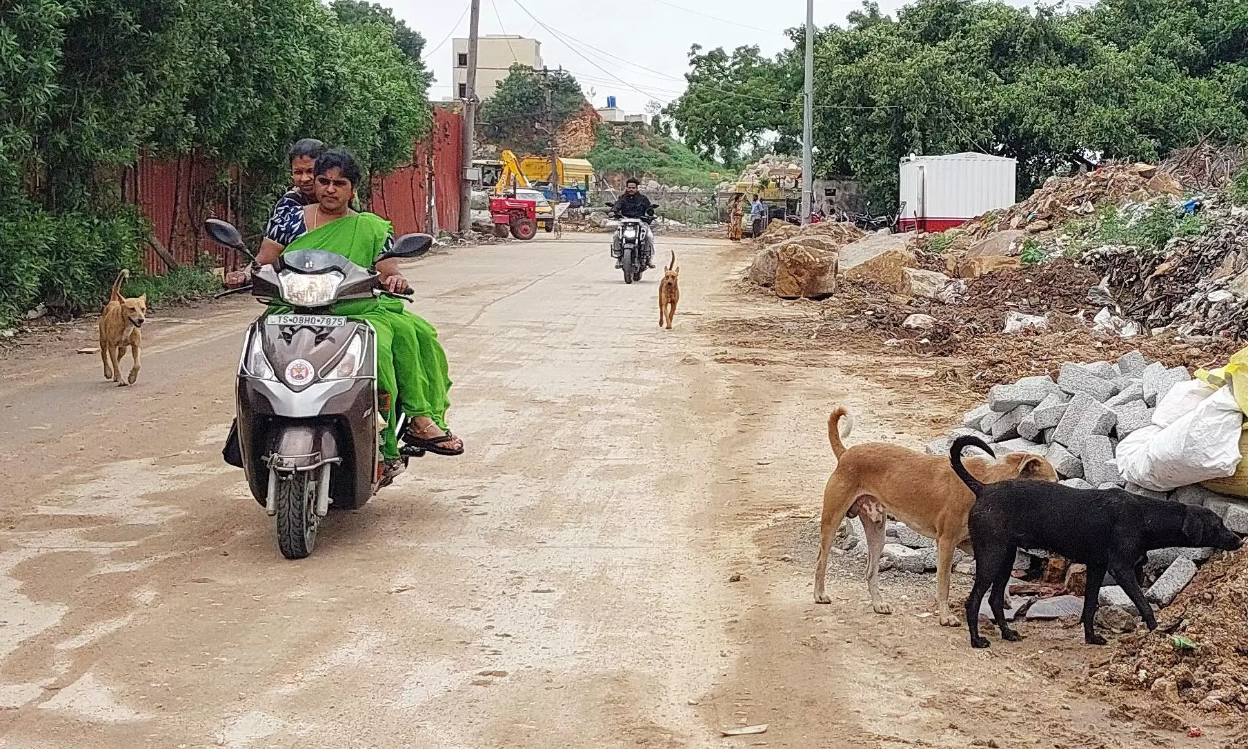 Hyderabad: ‘Kill Dogs’ Proposal Invites Flak From Activists Hyderabad: ‘Kill Dogs’ Proposal Invites Flak From Activists