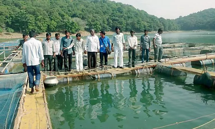 Union Budget to Boost AP’s Aqua Sector, Say Breeders Union Budget to Boost AP’s Aqua Sector, Say Breeders