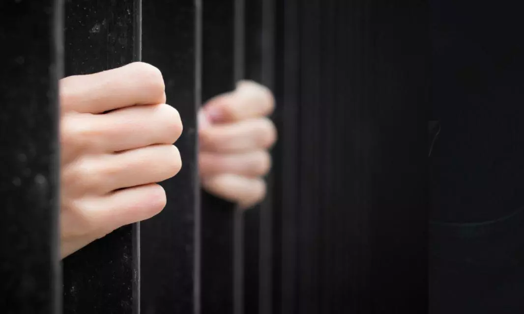 Andhra Pradesh: Four-year jail term for ganja smuggler