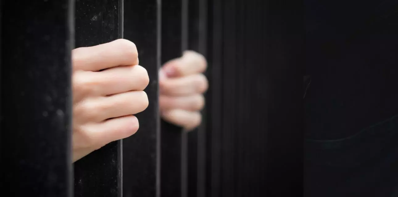 Andhra Pradesh: Four-year jail term for ganja smuggler Andhra Pradesh: Four-year jail term for ganja smuggler