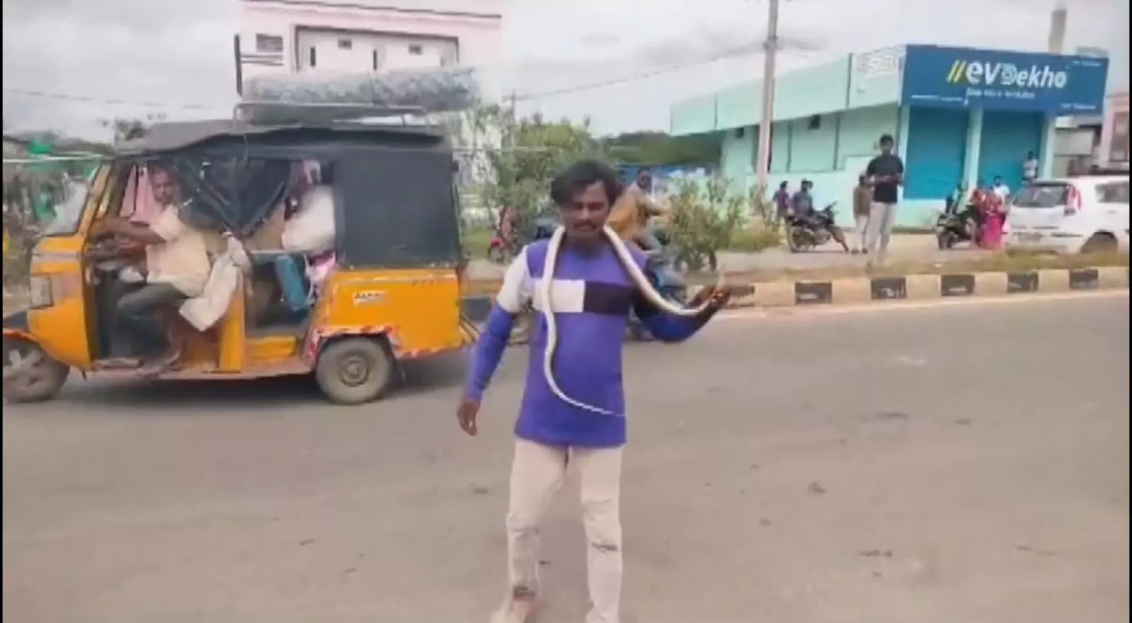 Watch Video: Inebriated man plays with snake on road in Anantapur Watch Video: Inebriated man plays with snake on road in Anantapur