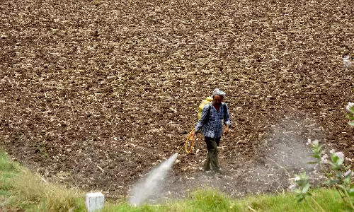 Telangana: Hike in Agri Allocations Gets a Thumbs Up