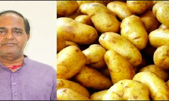 Odisha Caps Potato Prices at Rs 32 Amid Price Surge Odisha Caps Potato Prices at Rs 32 Amid Price Surge