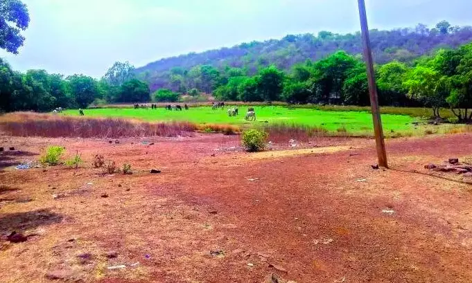 Andhra Pradesh: Sub-registrar suspended for illegal land registration