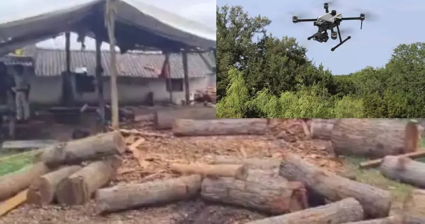 Odisha forest officials use drone technology to arrest timber mafia Odisha forest officials use drone technology to arrest timber mafia