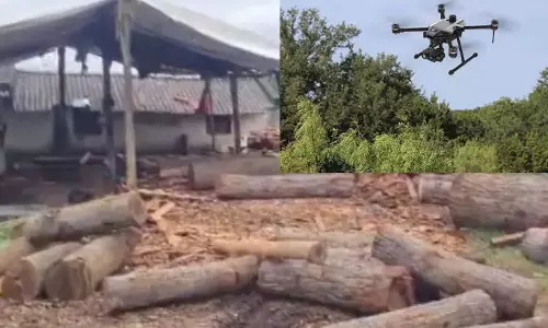 Odisha forest officials use drone technology to arrest timber mafia