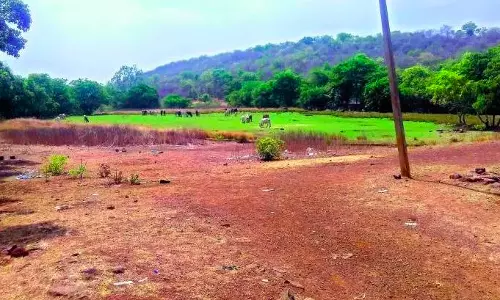 Andhra Pradesh: Sub-registrar suspended for illegal land registration