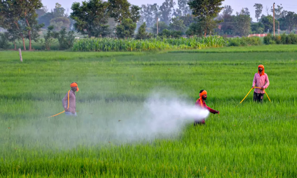 LB Nagar Counterfeit Pesticides Raid Exposes Fraud Impacting Agriculture Sector