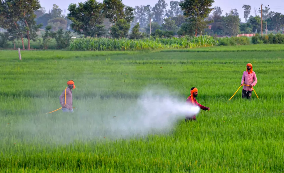 LB Nagar Counterfeit Pesticides Raid Exposes Fraud Impacting Agriculture Sector LB Nagar Counterfeit Pesticides Raid Exposes Fraud Impacting Agriculture Sector